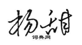 骆恒光杨甜草书个性签名怎么写