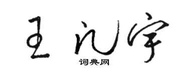 骆恒光王凡宇草书个性签名怎么写