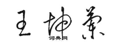 骆恒光王坤兰草书个性签名怎么写
