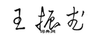 骆恒光王振武草书个性签名怎么写