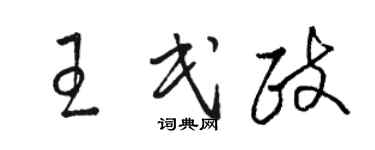 骆恒光王民政草书个性签名怎么写