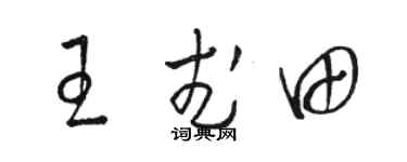 骆恒光王武田草书个性签名怎么写