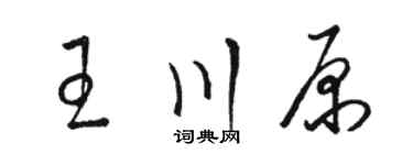 骆恒光王川原草书个性签名怎么写