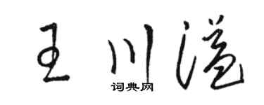 骆恒光王川溢草书个性签名怎么写