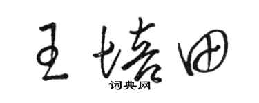 骆恒光王培田草书个性签名怎么写