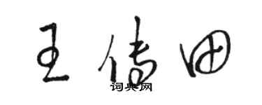 骆恒光王传田草书个性签名怎么写