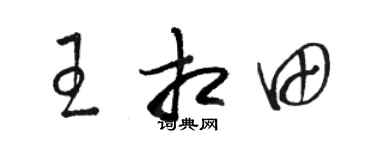 骆恒光王相田草书个性签名怎么写