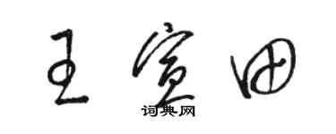 骆恒光王宣田草书个性签名怎么写