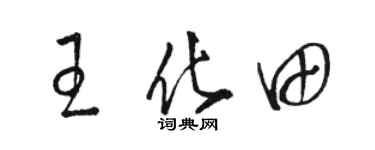 骆恒光王化田草书个性签名怎么写