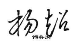 骆恒光杨超草书个性签名怎么写