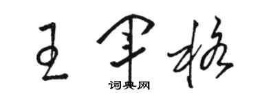 骆恒光王军格草书个性签名怎么写