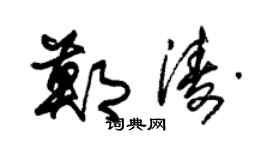 朱锡荣郑涛草书个性签名怎么写