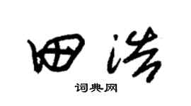 朱锡荣田浩草书个性签名怎么写