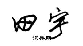 朱锡荣田宇草书个性签名怎么写