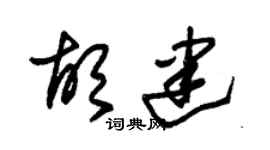 朱锡荣胡建草书个性签名怎么写