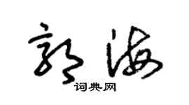 朱锡荣郭海草书个性签名怎么写