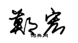 朱锡荣郑宏草书个性签名怎么写