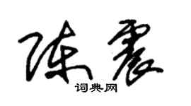 朱锡荣陈震草书个性签名怎么写