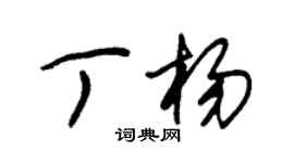 朱锡荣丁杨草书个性签名怎么写