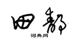 朱锡荣田静草书个性签名怎么写