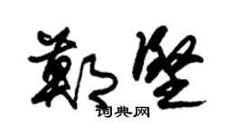 朱锡荣郑坚草书个性签名怎么写