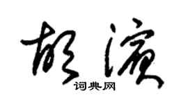 朱锡荣胡滨草书个性签名怎么写