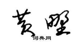 朱锡荣黄野草书个性签名怎么写