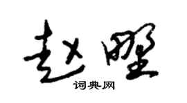 朱锡荣赵野草书个性签名怎么写