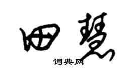 朱锡荣田慧草书个性签名怎么写