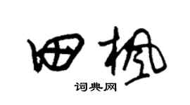 朱锡荣田枫草书个性签名怎么写