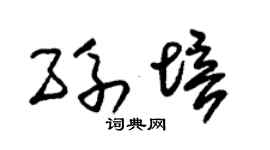 朱锡荣孙培草书个性签名怎么写