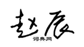 朱锡荣赵辰草书个性签名怎么写