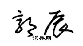 朱锡荣郭辰草书个性签名怎么写