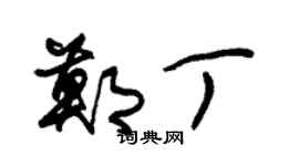 朱锡荣郑丁草书个性签名怎么写