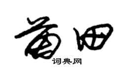 朱锡荣苗田草书个性签名怎么写