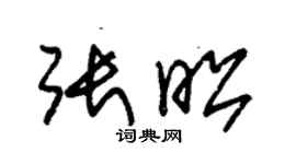 朱锡荣张昭草书个性签名怎么写