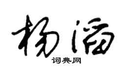 朱锡荣杨滔草书个性签名怎么写