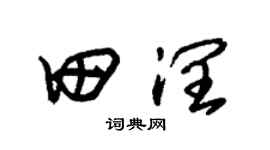 朱锡荣田润草书个性签名怎么写