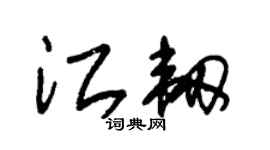 朱锡荣江韧草书个性签名怎么写