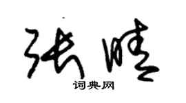 朱锡荣张晴草书个性签名怎么写