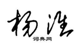 朱锡荣杨淮草书个性签名怎么写