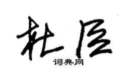 朱锡荣杜臣草书个性签名怎么写