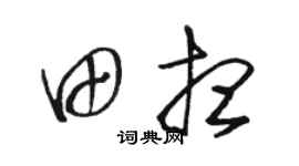 骆恒光田想草书个性签名怎么写