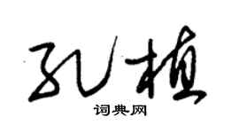 朱锡荣孔植草书个性签名怎么写