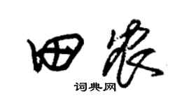 朱锡荣田农草书个性签名怎么写