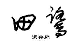 朱锡荣田鹭草书个性签名怎么写