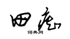 朱锡荣田痴草书个性签名怎么写