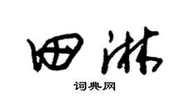 朱锡荣田淋草书个性签名怎么写