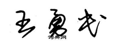 朱锡荣王勇民草书个性签名怎么写