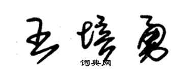 朱锡荣王培勇草书个性签名怎么写